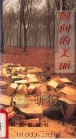 瞬间的美丽（1995 PDF版）