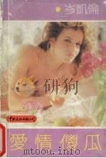 爱情傻瓜   1989  PDF电子版封面  7800420884  （香港）岑凯伦著 