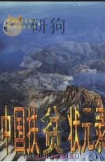 中国扶贫状元录  1（1996 PDF版）