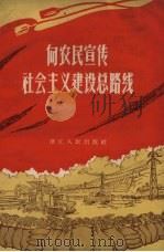 向农民宣传社会主义建设总路线（1958 PDF版）