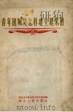青年团城是怎样建立起来的（1956 PDF版）