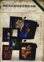 复用彩色电视机线路图全集（1995 PDF版）