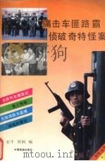 痛击车匪路霸 侦破奇特怪案 1994 PDF电子版封面 7113017509 亚牛,刘娴编