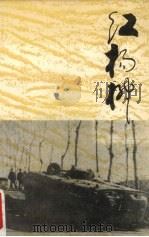 红杨柳 1904 PDF电子版封面 王泽九,杨大斌著