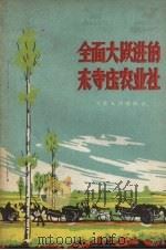 全面大跃进的东寺庄农业社 1958 PDF电子版封面 3105·48