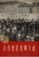 合作化是光明大道（1957 PDF版）