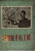 植树能手石玉殿 1954 PDF电子版封面 方唐,安守仁著