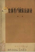 集体生产和家庭副业（1963 PDF版）