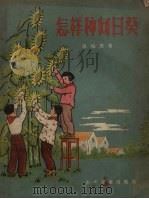 怎样种向日葵（1956 PDF版）