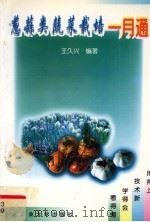 葱蒜类蔬菜栽培一月通（1998 PDF版）