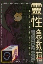 灵性急救箱 唤醒日常生活的灵性 1998 PDF电子版封面 9578431511 Bradford Keeney著;许岫霞译