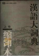 汉语大词典  缩印本  上（1997 PDF版）