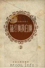 在农业劳动战线上插红旗拔白旗  3（1958 PDF版）