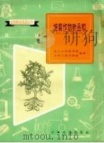 培育作物新品种:交口少年科学院种植活动介绍 1961 PDF电子版封面 R10024·2700 交口少年科学院,少年儿童出版社编著
