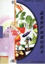 蔬菜保护地栽培技术（1999 PDF版）