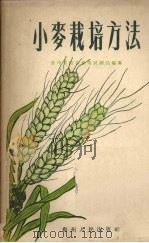 小麦栽培方法 1956 PDF电子版封面 贵州省综合农业试验站编