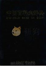 中国百科大辞典  4（1999 PDF版）