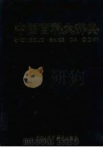 中国百科大辞典 6 1999 PDF电子版封面 7500062125 (王伯恭主编