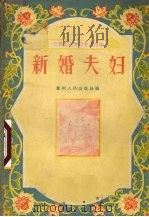 新婚夫妇（1956 PDF版）