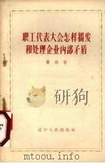 职工代表大会怎样揭发和处理企业内部矛盾   1957  PDF电子版封面  T3090·59  黄琦著 