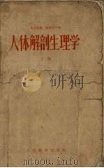 人体解剖生理学   1955  PDF电子版封面    （苏）葛里毕扬（Р.Б.Гарибьян），（苏）马尔柯夫（ 