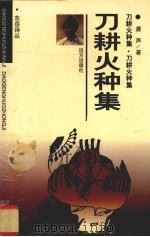 刀耕火种集 1997 PDF电子版封面 7805953139 晨声著