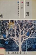 潜流 1992 PDF电子版封面 7503909552 王健著
