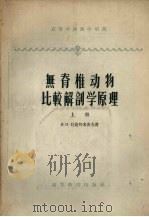 无脊椎动物比较解剖学原理 上 1958 PDF电子版封面 13010·449 (苏)贝克列米舍夫(В.Н.Беклемищев)著;王洛白