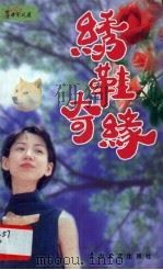 绣鞋奇缘（1996 PDF版）