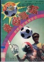绿菌寻踪·足球至尊（1996 PDF版）