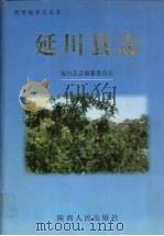 延川县志 1999 PDF电子版封面 7224052620 延川县志编纂委员会编