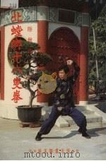 北螳螂十八叟拳 1982 PDF电子版封面 隐僧编