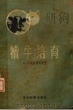 犊牛培育（1954 PDF版）