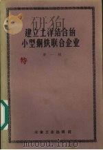 建立土洋结合的小型钢铁联合企业  第1辑（1958 PDF版）