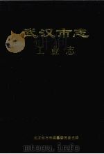武汉市志 工业志 下 1999 PDF电子版封面 7307027399 武汉市地方志编纂委员会主编