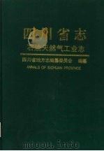 四川省志 石油天然气工业志 1997 PDF电子版封面 7220034997 四川省地方志编纂委员会编纂