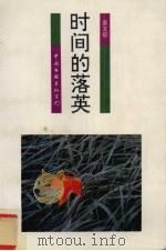 时间的落英（1994 PDF版）