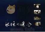 永恒的怀念：英豪逝去事功在典范长留人世间（ PDF版）