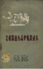 怎样降低小高炉炼铁成本 1959 PDF电子版封面 4066.131 财政出版社编辑