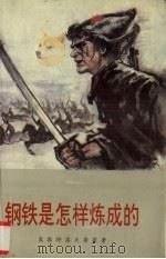 钢铁是怎样炼成的 1994 PDF电子版封面 7537112827 奥斯特洛夫斯基著
