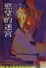 欲望的迷宫（1999 PDF版）