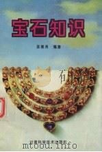 宝石知识 1994 PDF电子版封面 7542404601 温德清编著