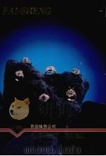百盛珠宝公司（ PDF版）