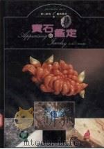 宝石鉴定（1993 PDF版）