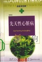 先天性心脏病 1999 PDF电子版封面 7532348652 陈树宝著