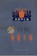 钢筋专辑（1971 PDF版）