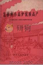 怎样使小高炉优质高产（1959 PDF版）