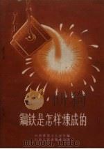 钢铁是怎样炼成的（1958 PDF版）