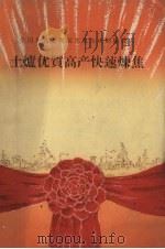 土炉优质高产快速炼焦（1959 PDF版）