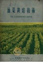 油菜栽培技术（1956 PDF版）
